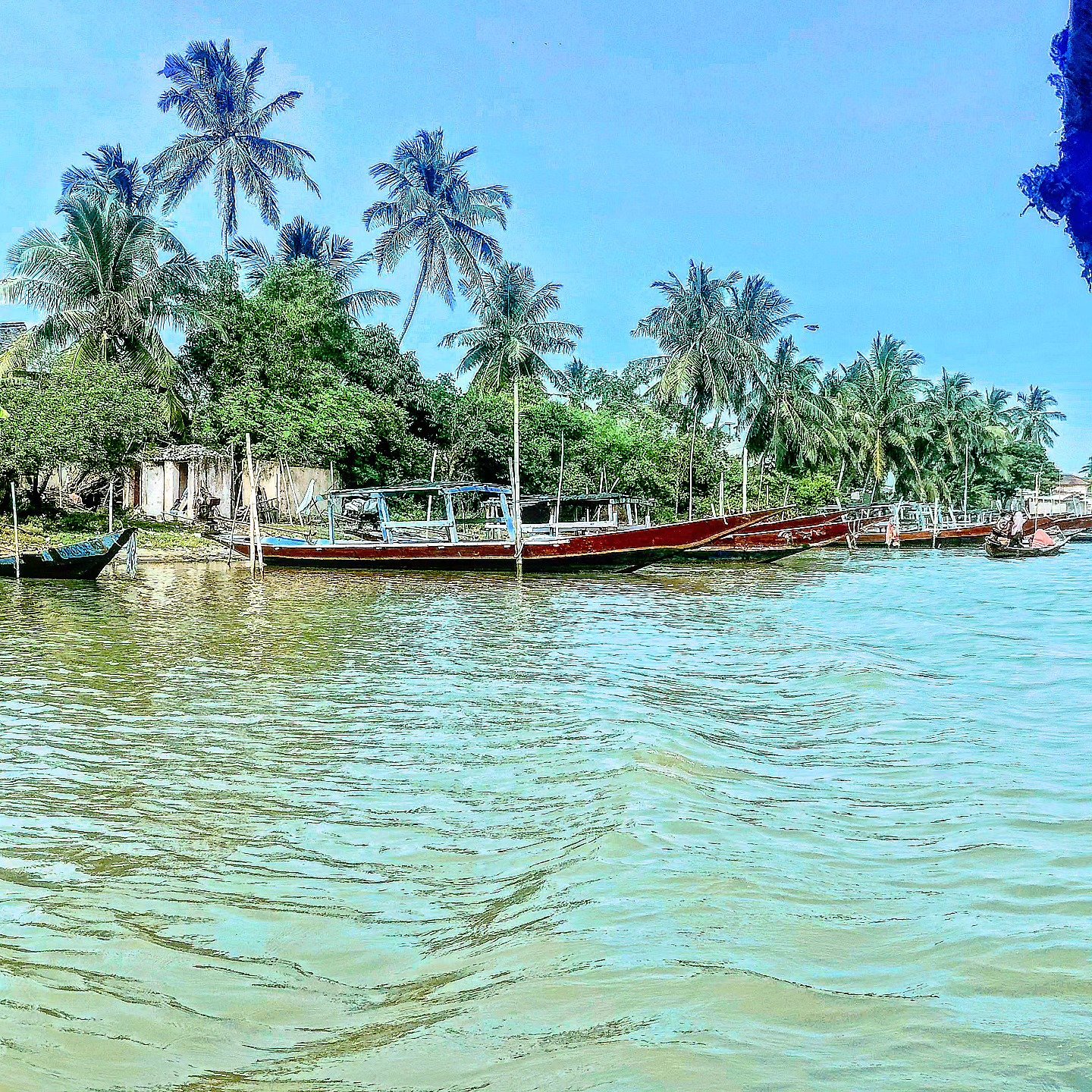 📷 The Backwater Bend — Coastal India · 03 Jul 2026