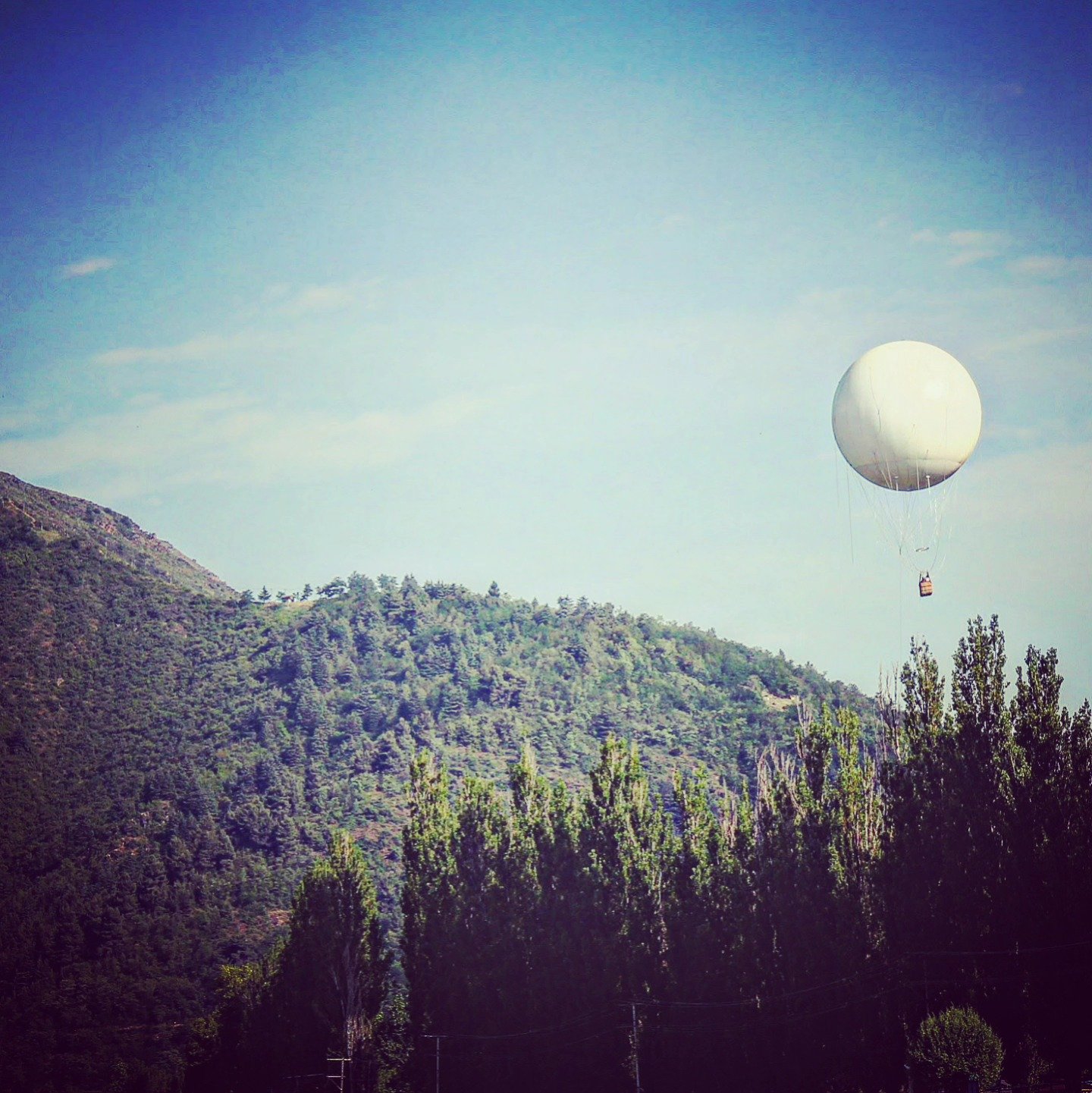 Balloon Above the Trees