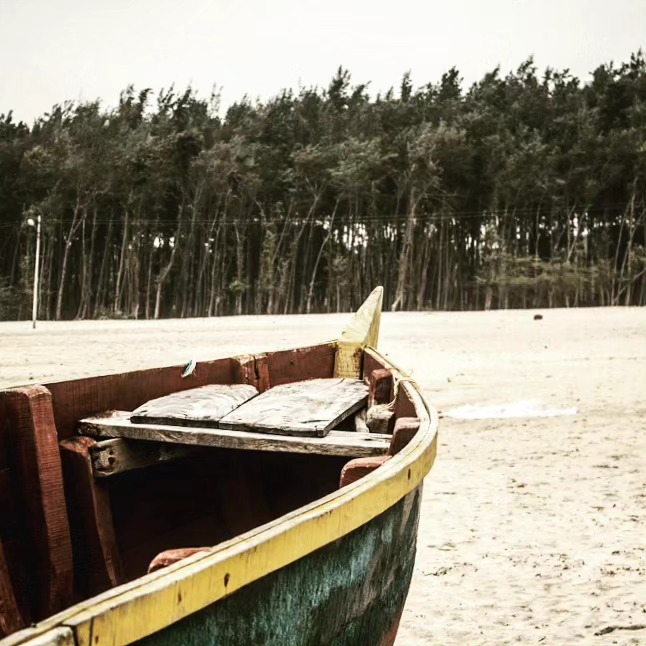 The Beached Boat