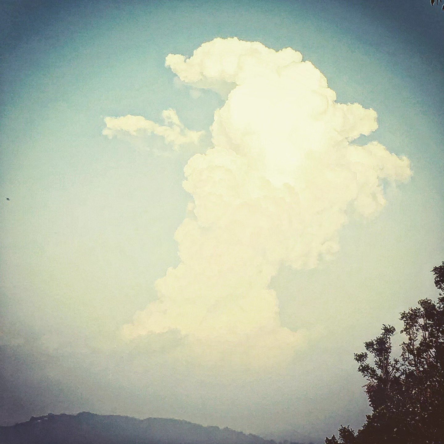 📷 Cumulus, Climbing — India · 12 Jul 2026