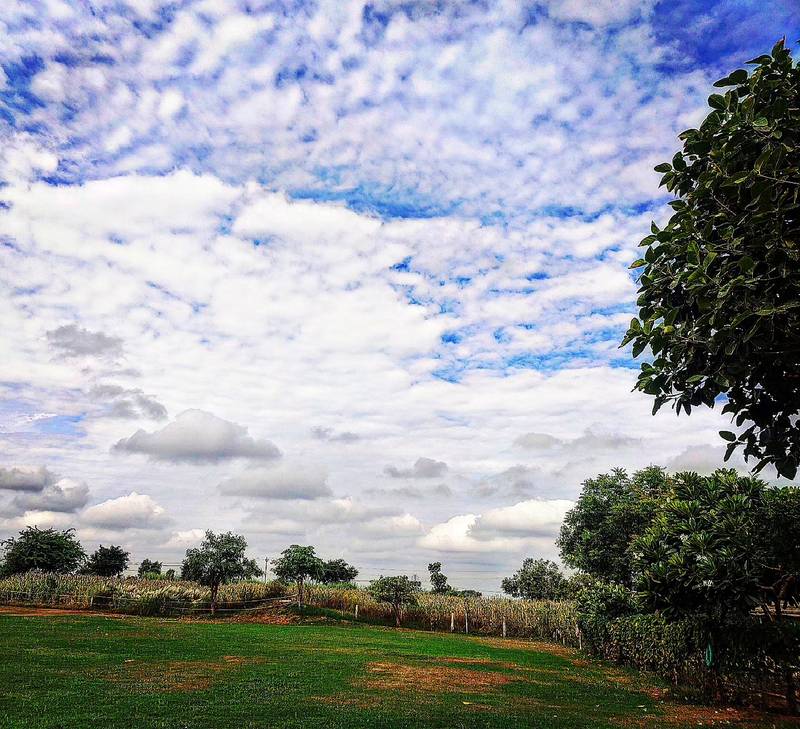 Monsoon Green