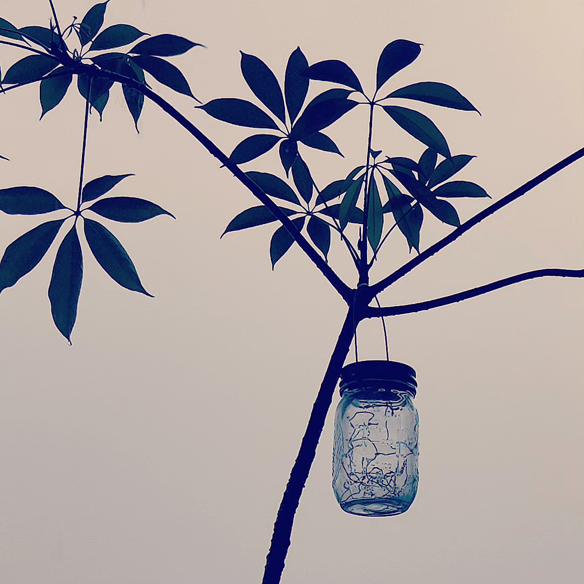 The Jar in the Tree