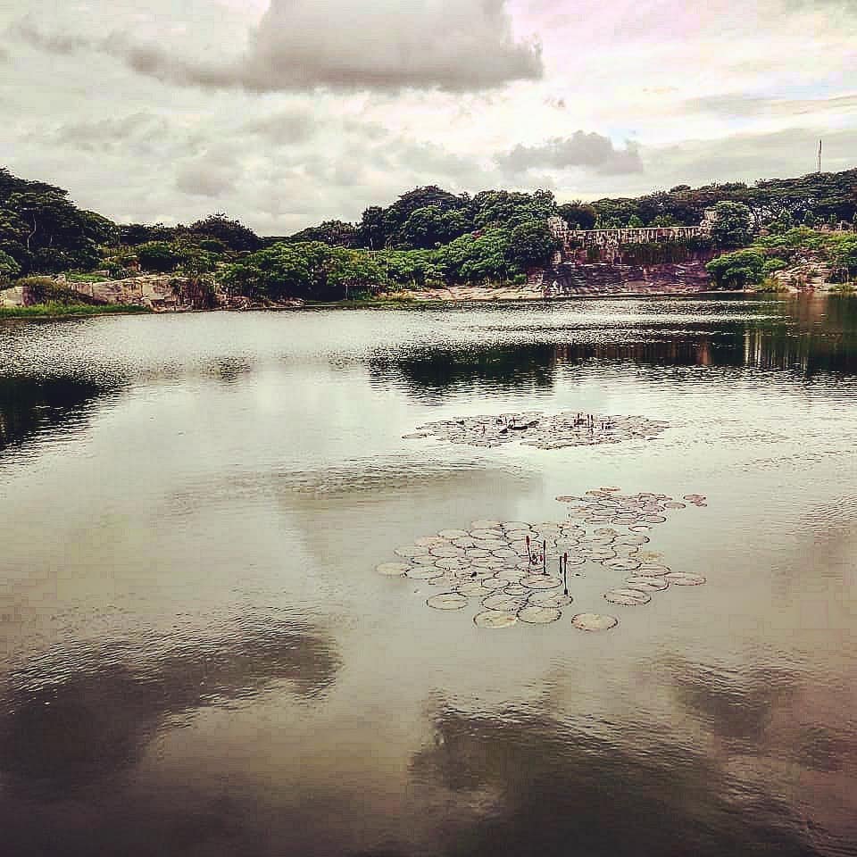 📷 Where the Sky Reflects — South India · 26 Jul 2026