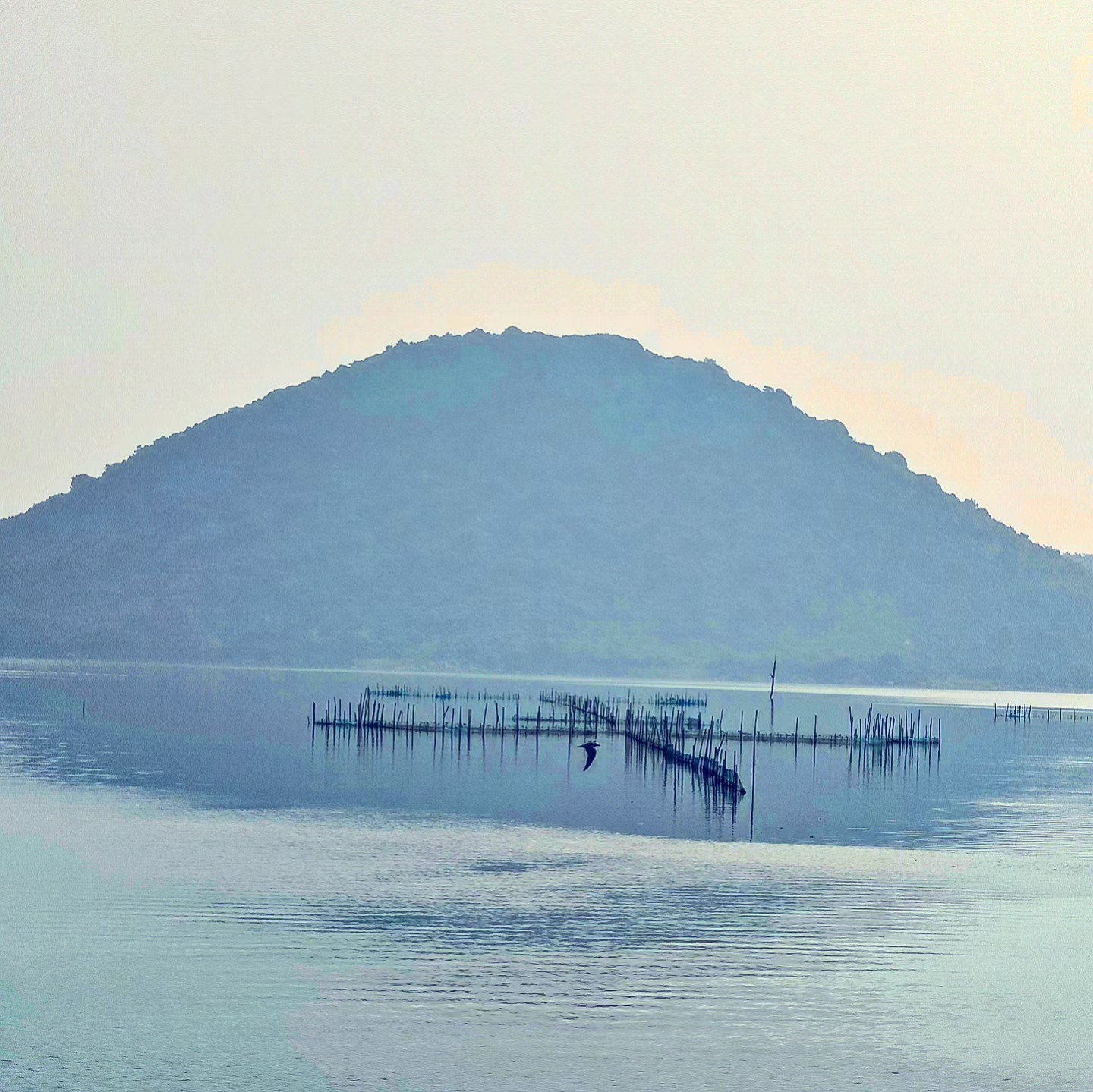 Blue Stillness