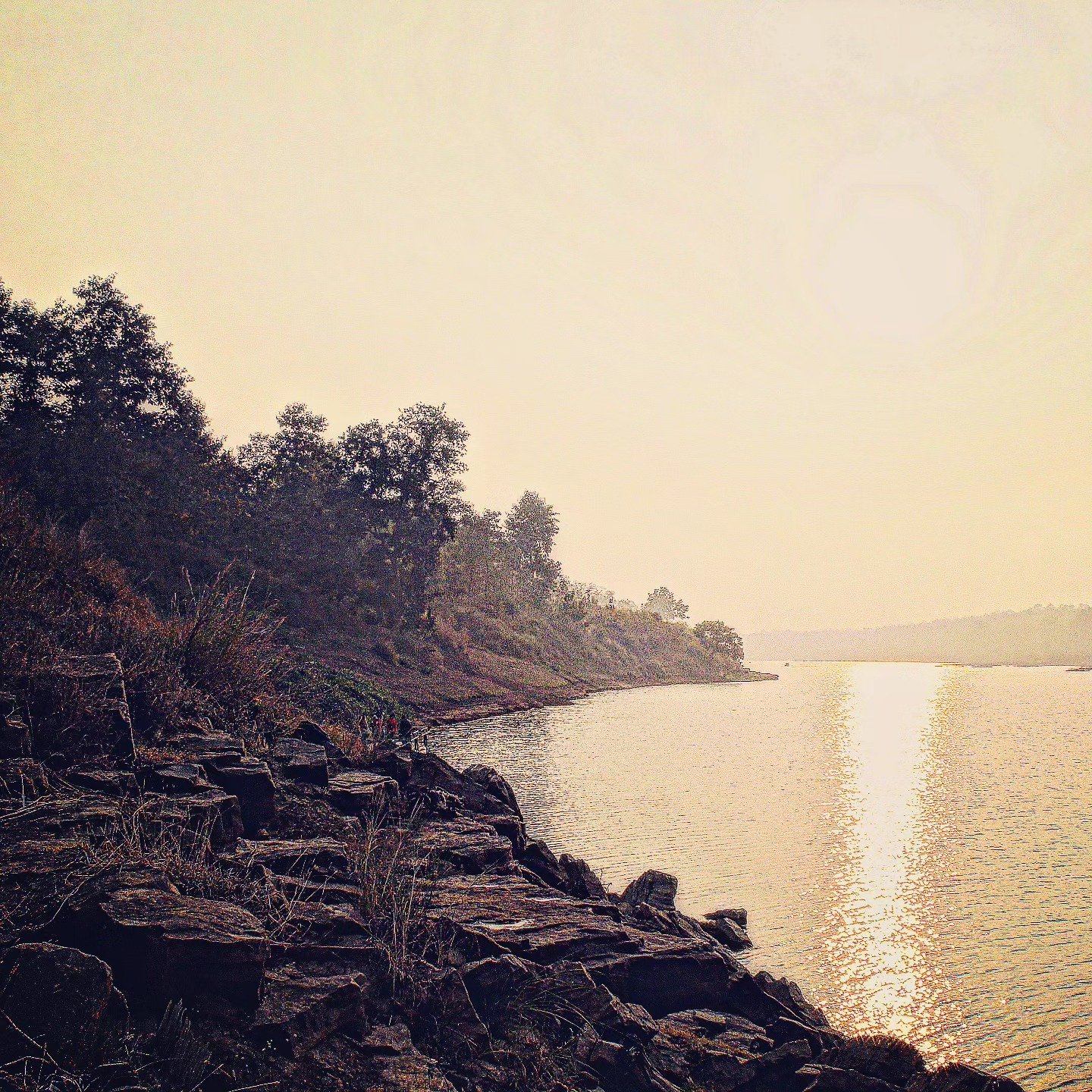 The Lake at the End of Light