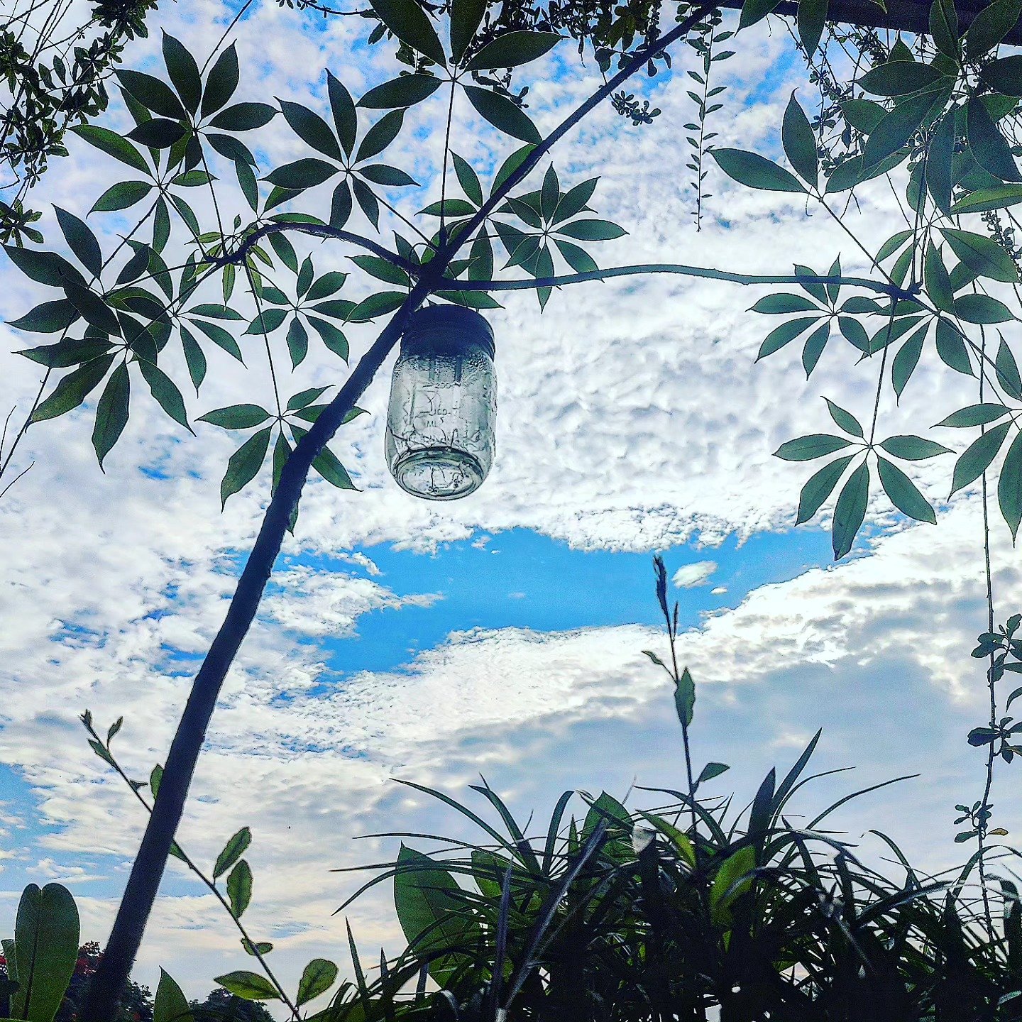 The Glass Lantern