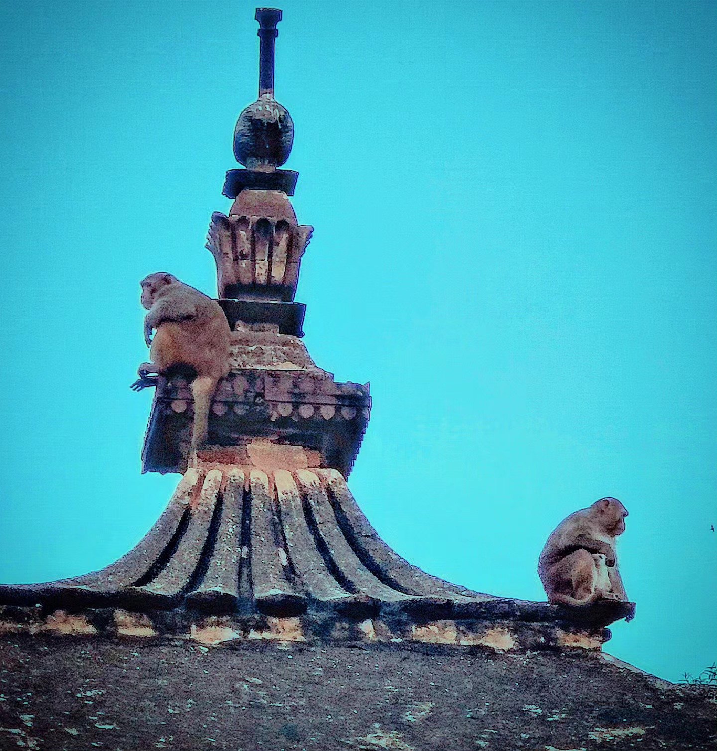 📷 The Roof Was Already Theirs — India · 19 Jun 2026