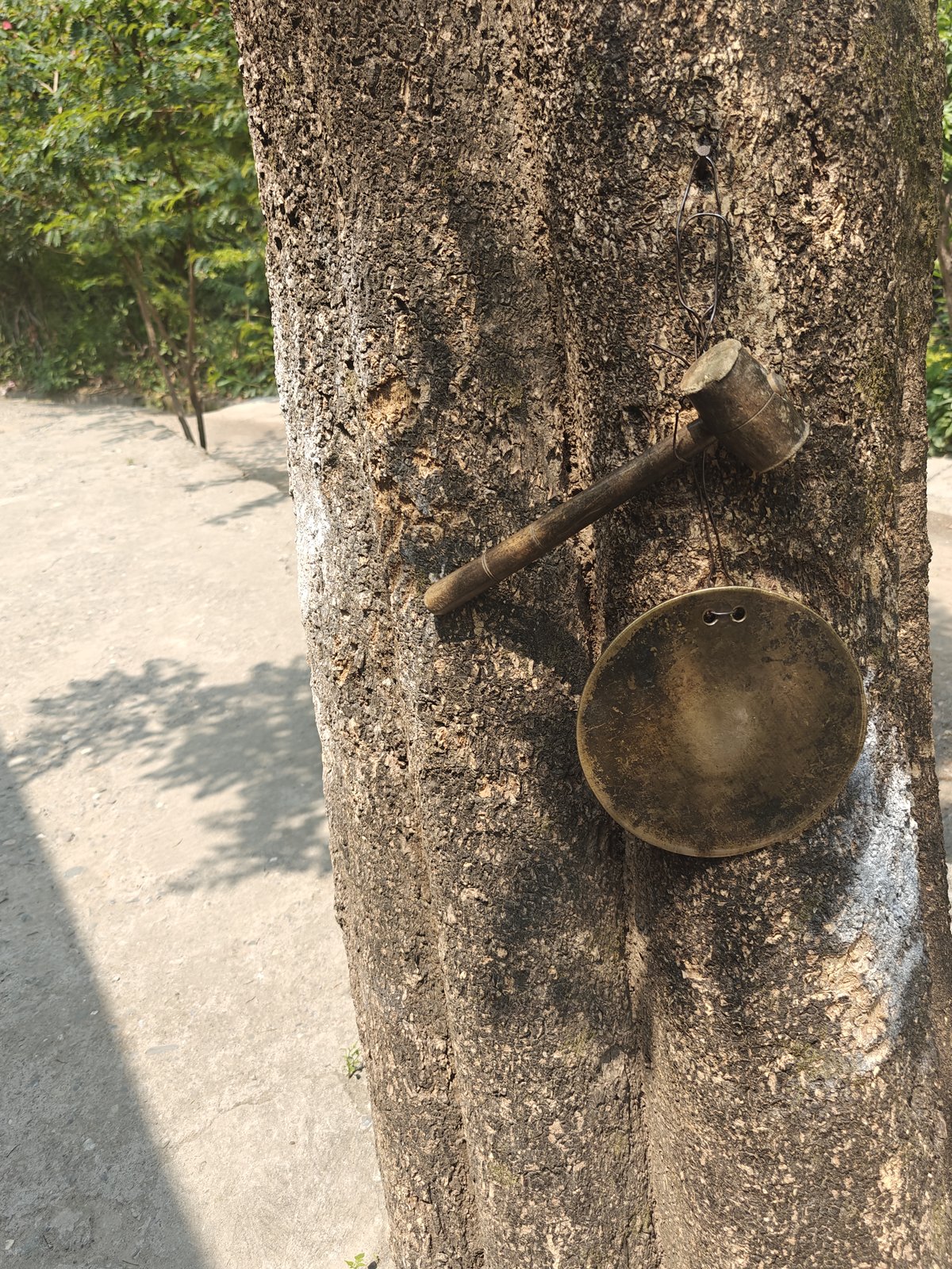 📷 The Brass Bell at the Path — India · 11 Aug 2026