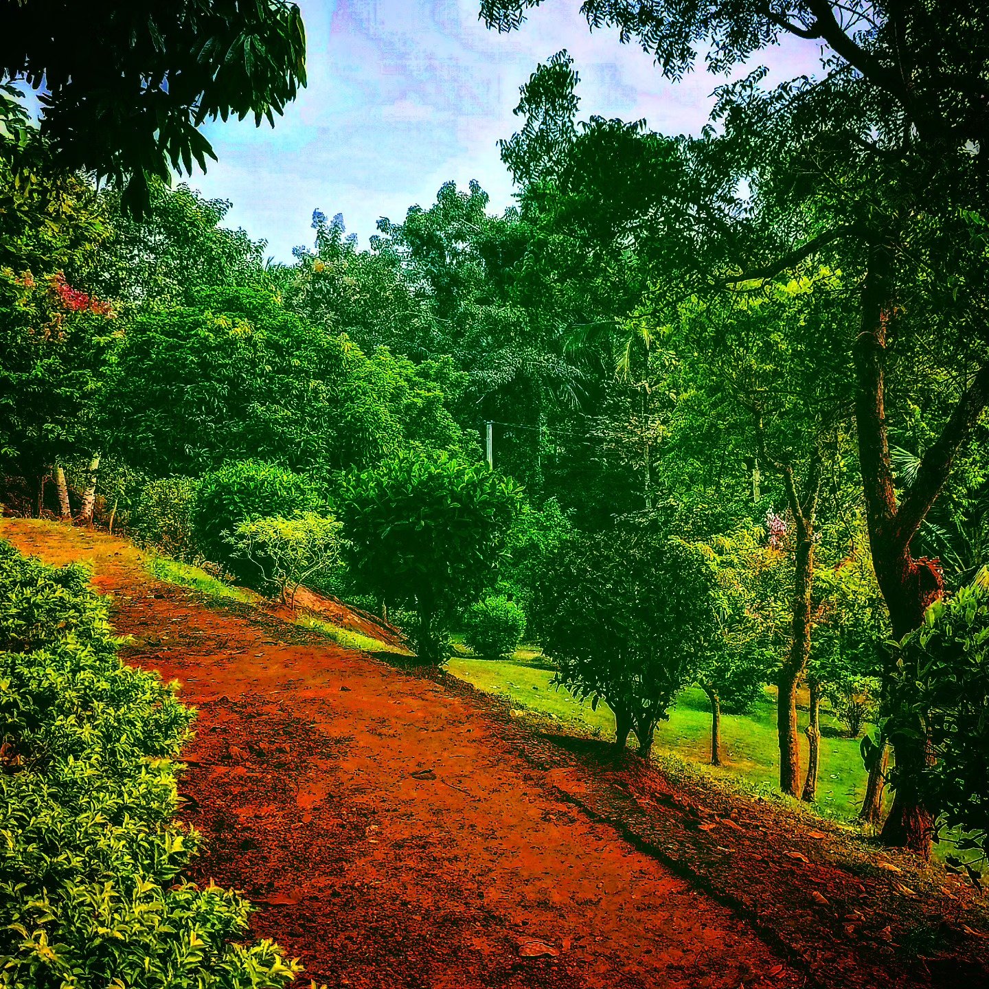 📷 The Red Path — Bengaluru, Karnataka · 04 Aug 2026