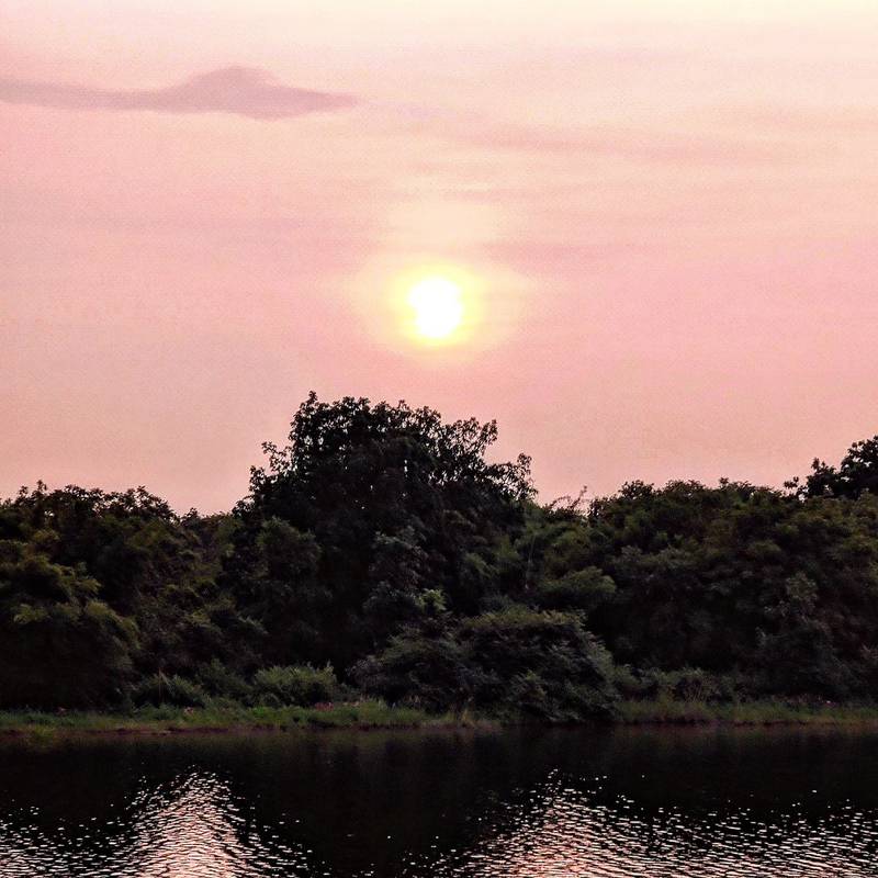Pink Hour