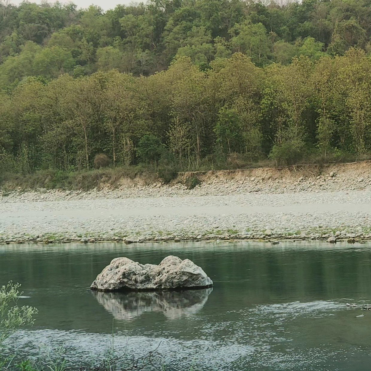 📷 Stone in Still Water — Himalayan Foothills, India · 18 Jun 2026