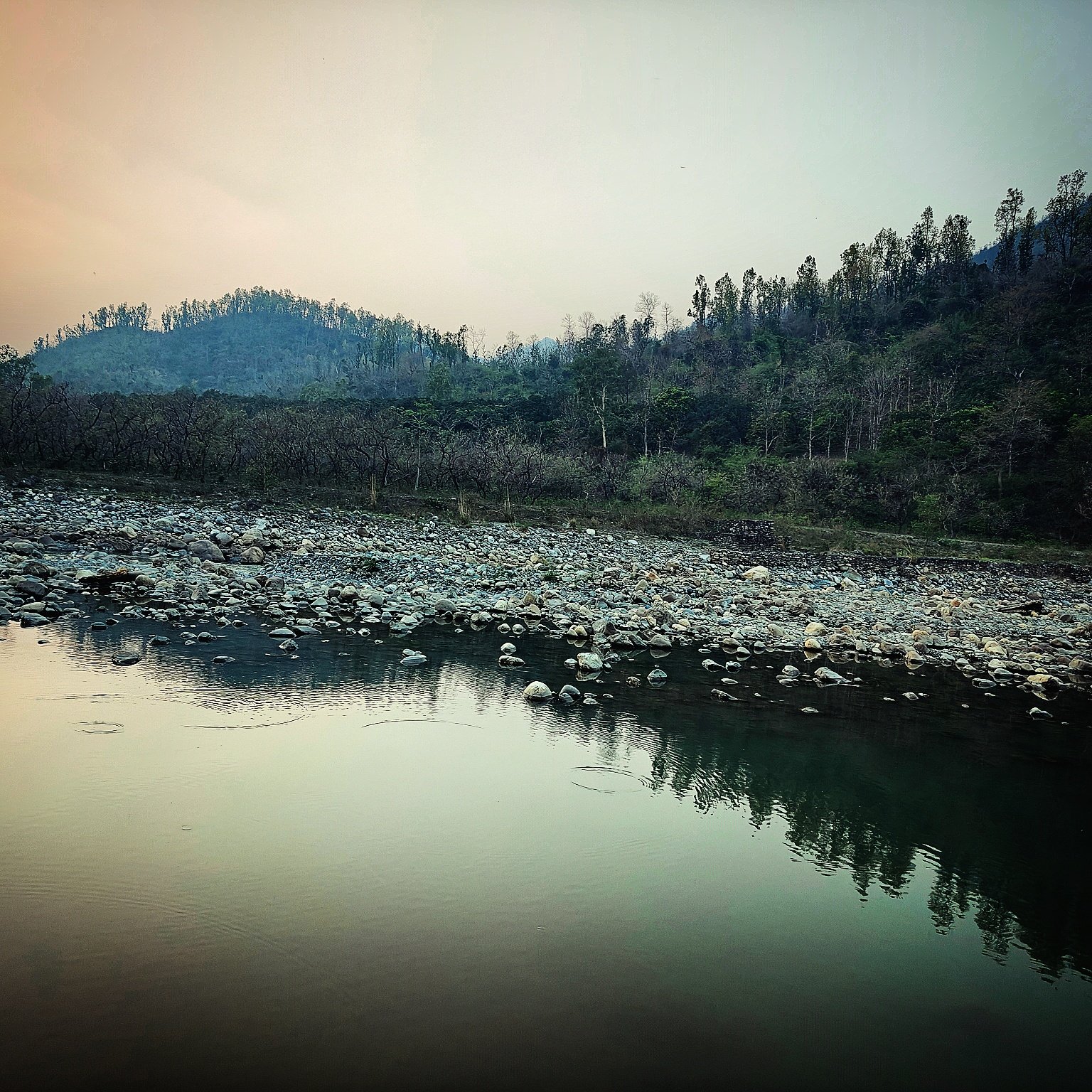 📷 Twilight Crossing — Himalayan Foothills, India · 22 Jun 2026