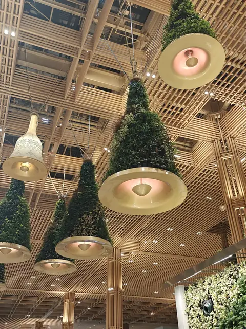 T2, Looking Up, Bengaluru, Karnataka