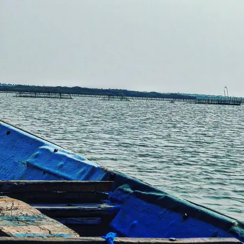 Blue Bow, Chilika, Chilika, Odisha