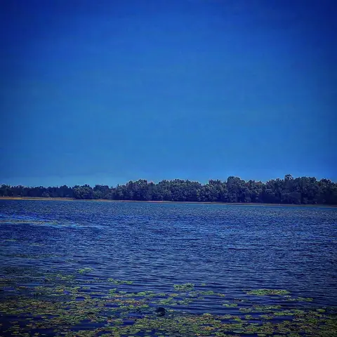 Lake, Blue, with Pads, India