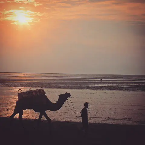 Desert Meets Sea, Mandvi, Gujarat