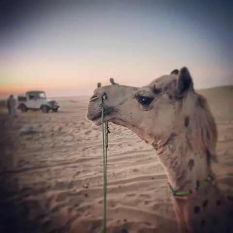 The Old Pilot, Thar Desert, Rajasthan