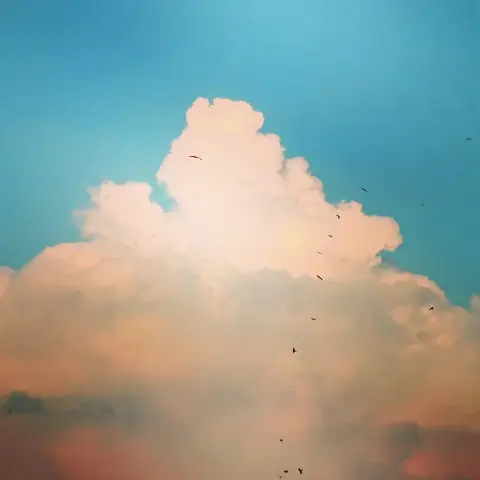 Cumulus with Birds, India