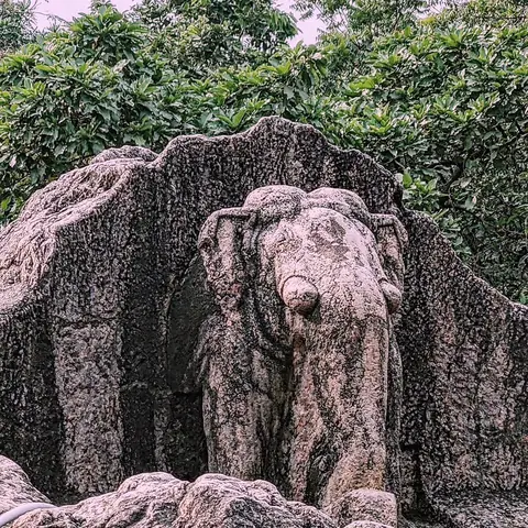 Stone Elephant, From the Rock, Dhauli, Odisha