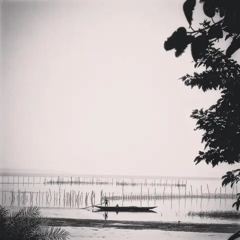 The Fish Fence, Coastal India