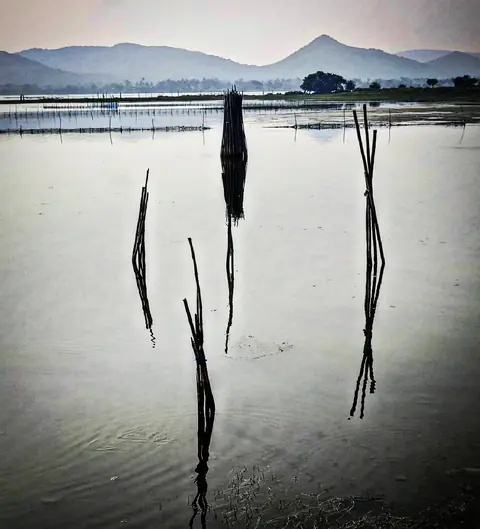 Silent Nets, Chilika, Odisha