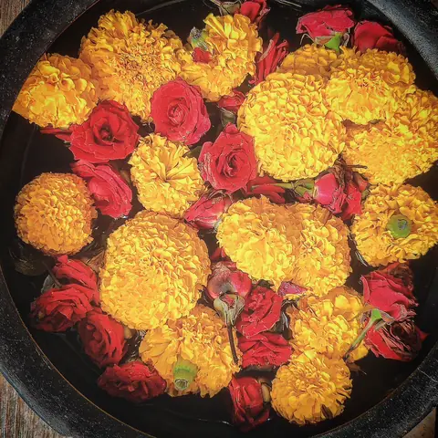 Flower Offering, Rishikesh, Uttarakhand