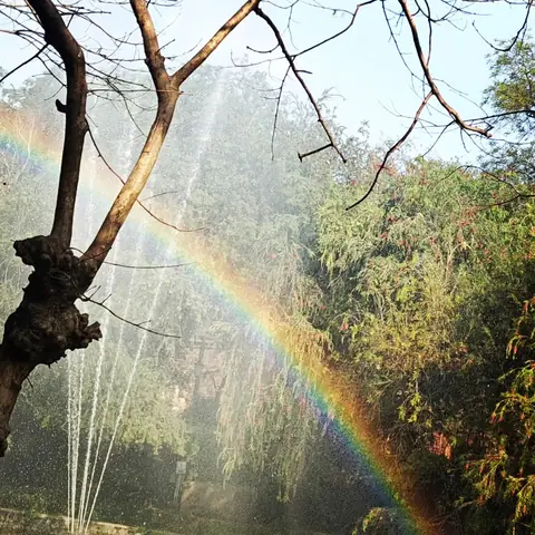 Garden Rainbow, Delhi