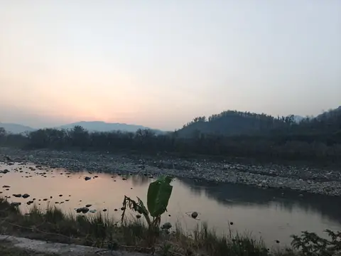 Banana Leaf by the River, Dehradun, Uttarakhand
