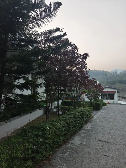 Garden Path at Dusk, Dehradun, Uttarakhand
