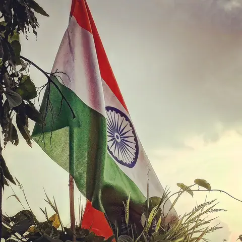 The Tiranga, in Leaves, India