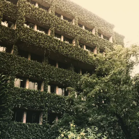 The Building the Forest Took Back, Delhi, India
