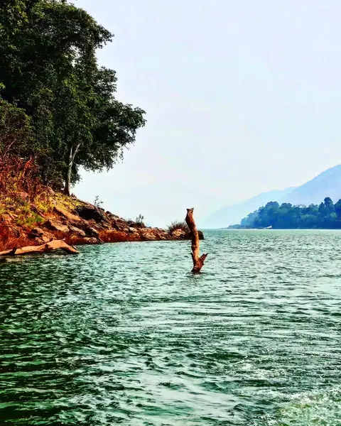 Drowned Stump, Papikondalu, Andhra Pradesh