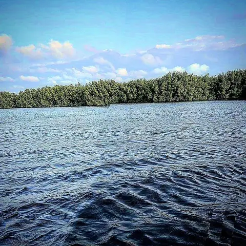 Rippled Blue, India
