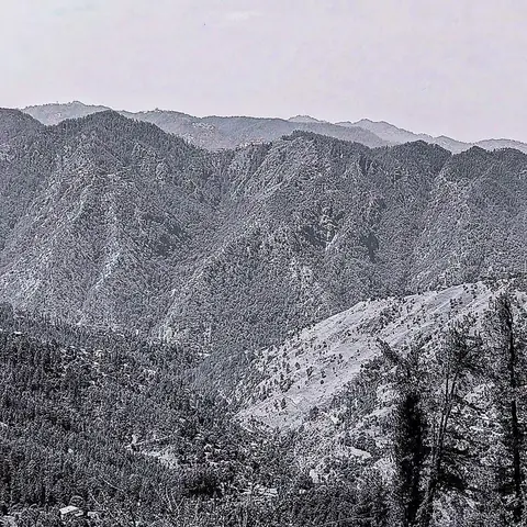Receding Ridges, Shimla, Himachal Pradesh