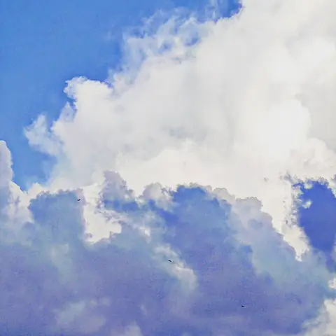 Three Birds, Tall Cloud, India