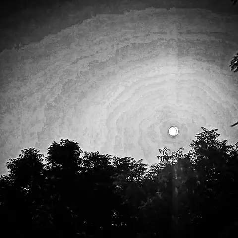 Moon, Halo, Trees, India