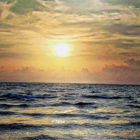 Golden Tide, Coastal India