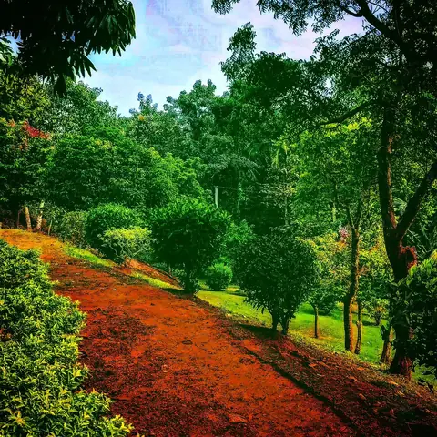 The Red Path, Bengaluru, Karnataka