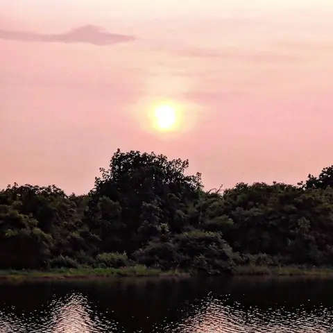 Pink Hour, Central India