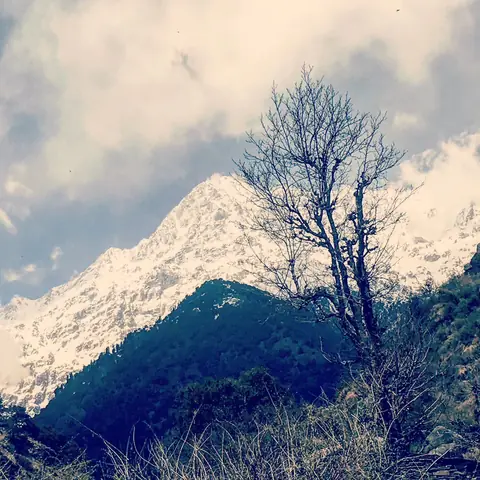 Himalayan Sentinel, Triund, Himachal Pradesh