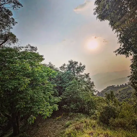 Sun Through Haze, Cherrapunji, Meghalaya