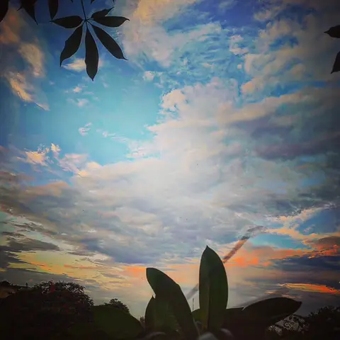 Silhouettes at Dusk, India