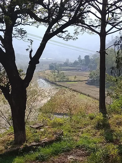 The Valley, Framed, Himalayan Foothills, India