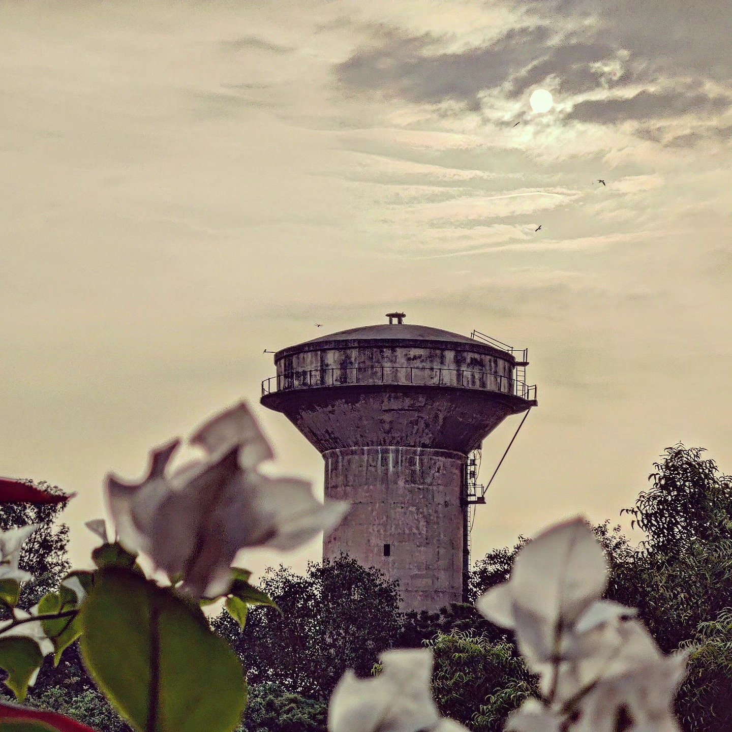 📷 The Watertower — India · 25 Jun 2026